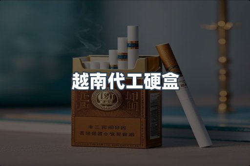 越南代工硬盒